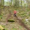 The Graded Hill Climb image