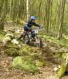 Matt Whittington image