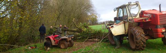 This is what it took to clear out the rock step section. One tug from Roy instead of an hours chainsawing. Tree removal photo