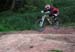 Redhill4X_5Viv