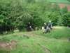 rockfield_23may08_12_100