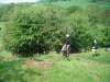 rockfield_23may08_13_100