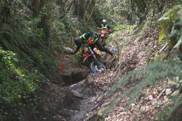 Wyegate09Xtras_001