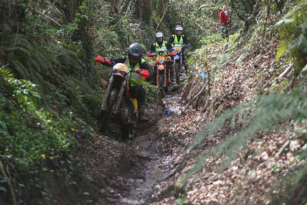 Wyegate09Xtras_002