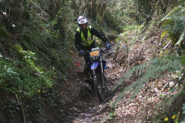 Wyegate09Xtras_005