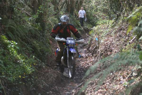 Wyegate09Xtras_006