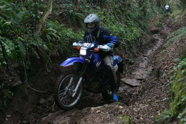 Wyegate09Xtras_012