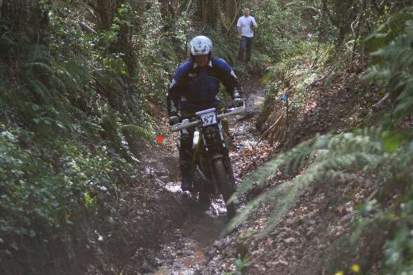 Wyegate09Xtras_111