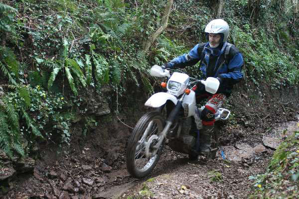 Wyegate09Xtras_114