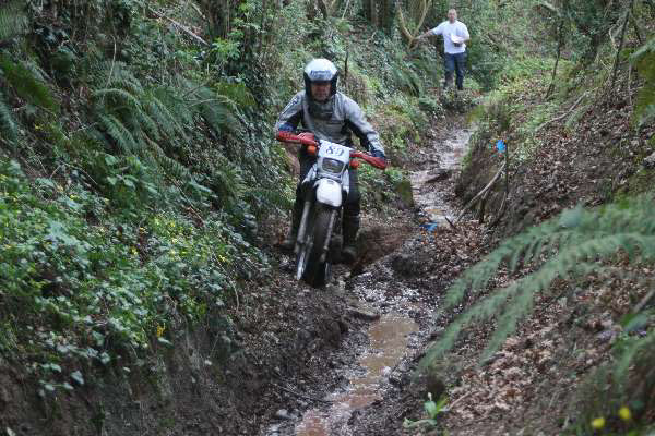 Wyegate09Xtras_125