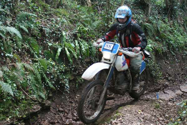 Wyegate09Xtras_132