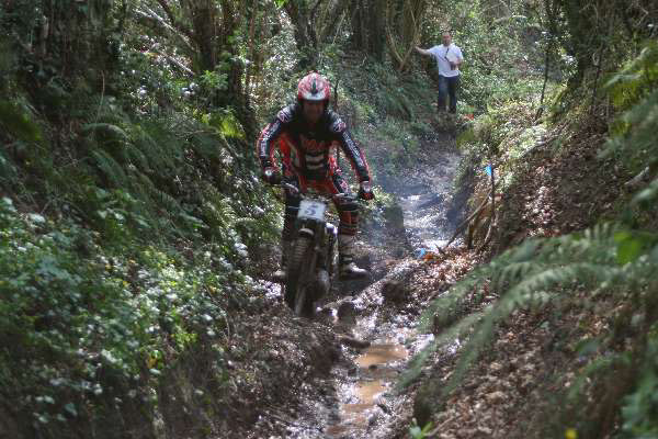 Wyegate09Xtras_133