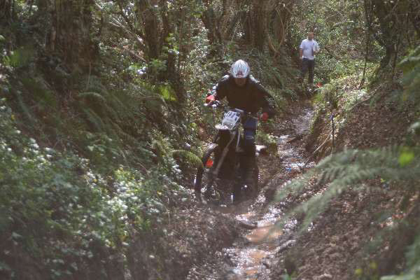 Wyegate09Xtras_141