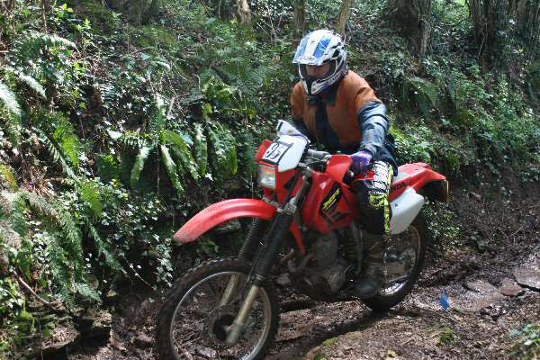Wyegate09Xtras_149
