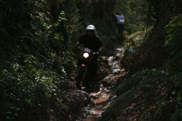 Wyegate09Xtras_164