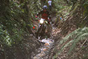 Wyegate09Xtras_091