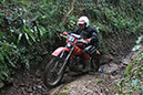 Wyegate09Xtras_100