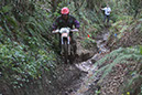 Wyegate09Xtras_101