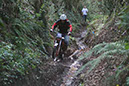 Wyegate09Xtras_103