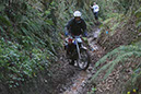 Wyegate09Xtras_115