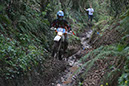 Wyegate09Xtras_131