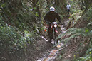 Wyegate09Xtras_137