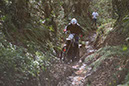 Wyegate09Xtras_141