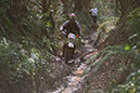 Wyegate09Xtras_144