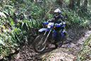 Wyegate09Xtras_147