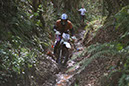 Wyegate09Xtras_150