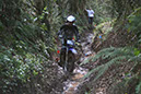 Wyegate09Xtras_152