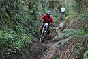 Wyegate09Xtras_158