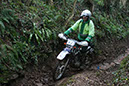 Wyegate09Xtras_161