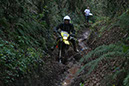 Wyegate09Xtras_166