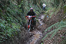 Wyegate09Xtras_172