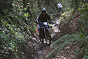 Wyegate09Xtras_180