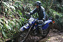Wyegate09Xtras_181