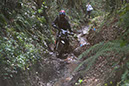 Wyegate09Xtras_184
