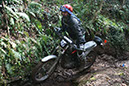 Wyegate09Xtras_185