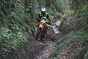 Wyegate09Xtras_186